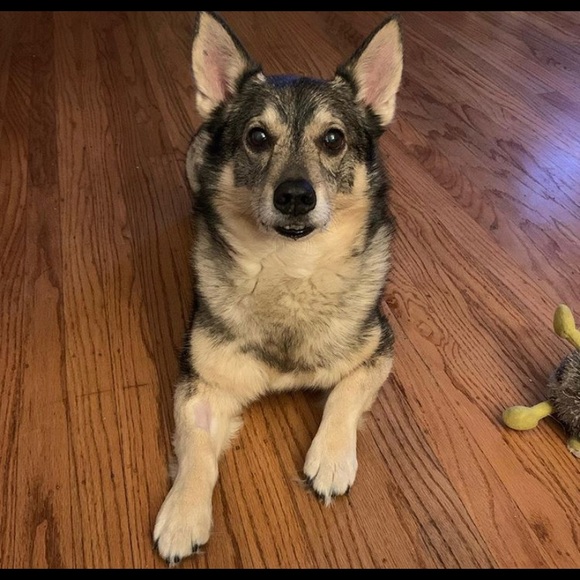 Meet your Posher, Jennifer - Picture 2 of 2